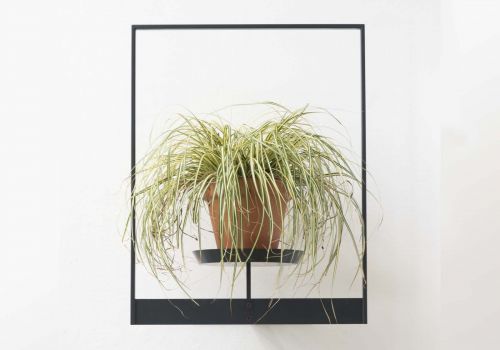 Etagère plante L55